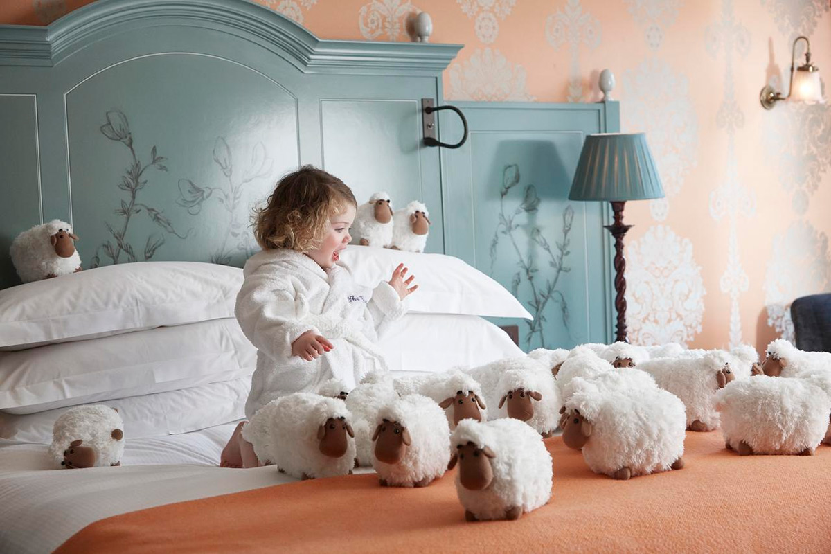 Comfortable accommodations