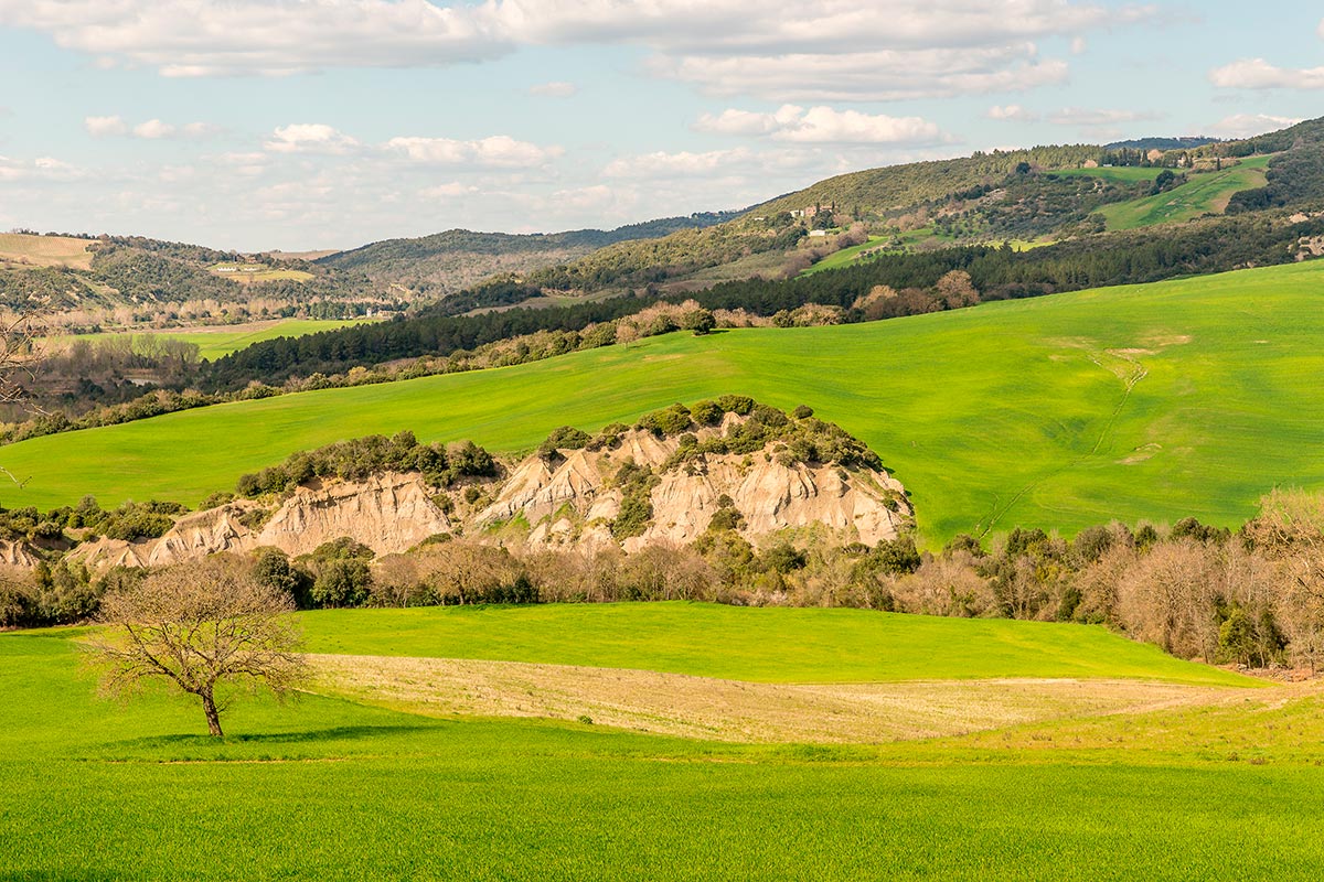 A scenic view of rolling green hills with a single tree in the foreground, surrounded by lush vegetation, under a partly cloudy sky.
